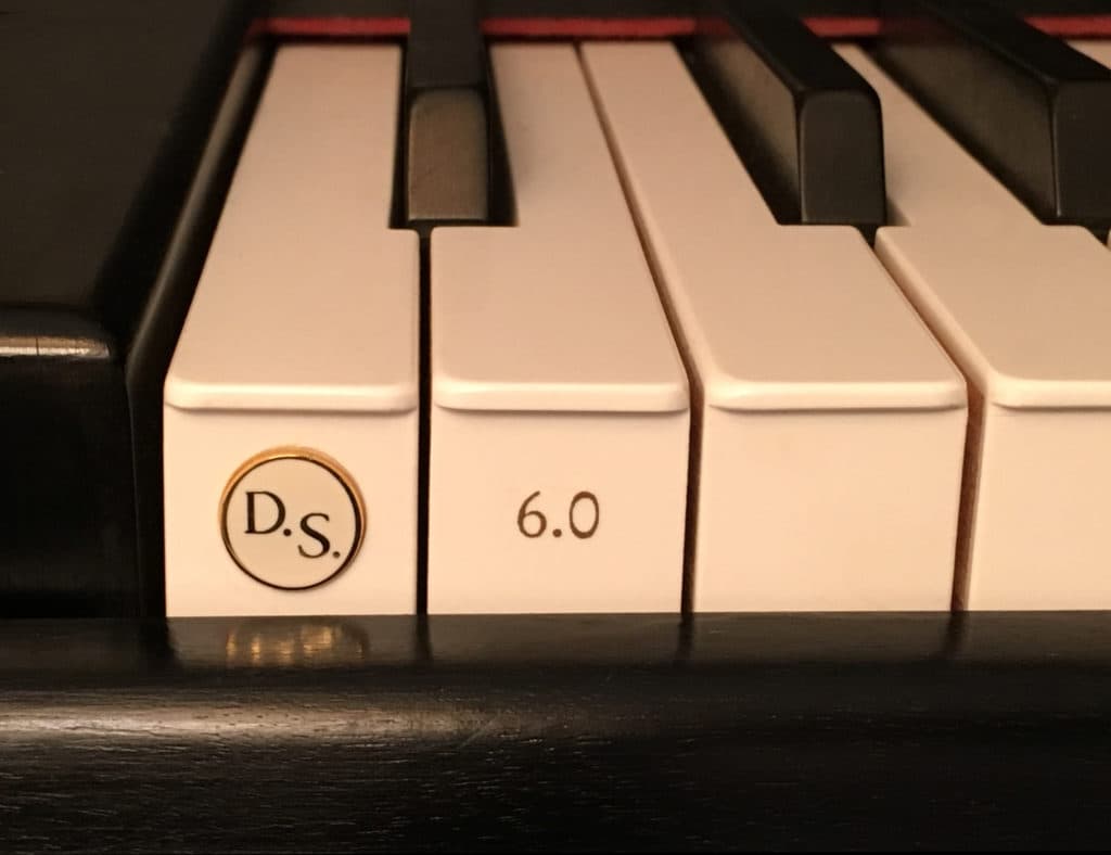 DS Logo on Piano Keys
